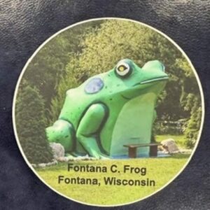 Photo Frog Sticker