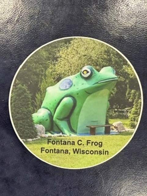 Photo Frog Sticker